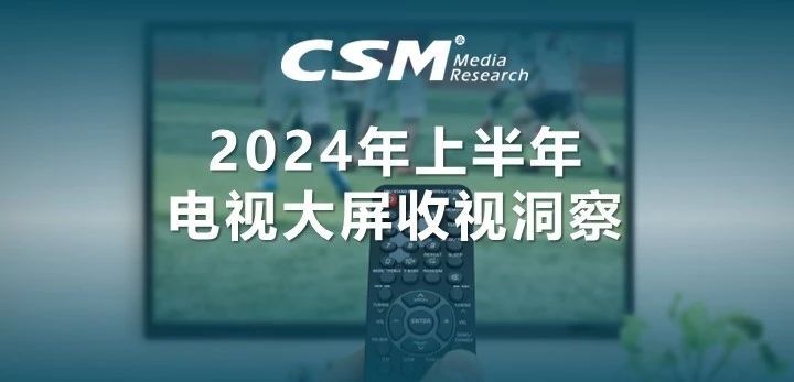 2024上半年电视大屏收视洞察