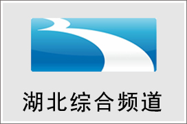 2021年湖北综合频道广告价格