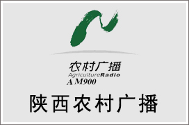 2021年陕西农村广播广告价格